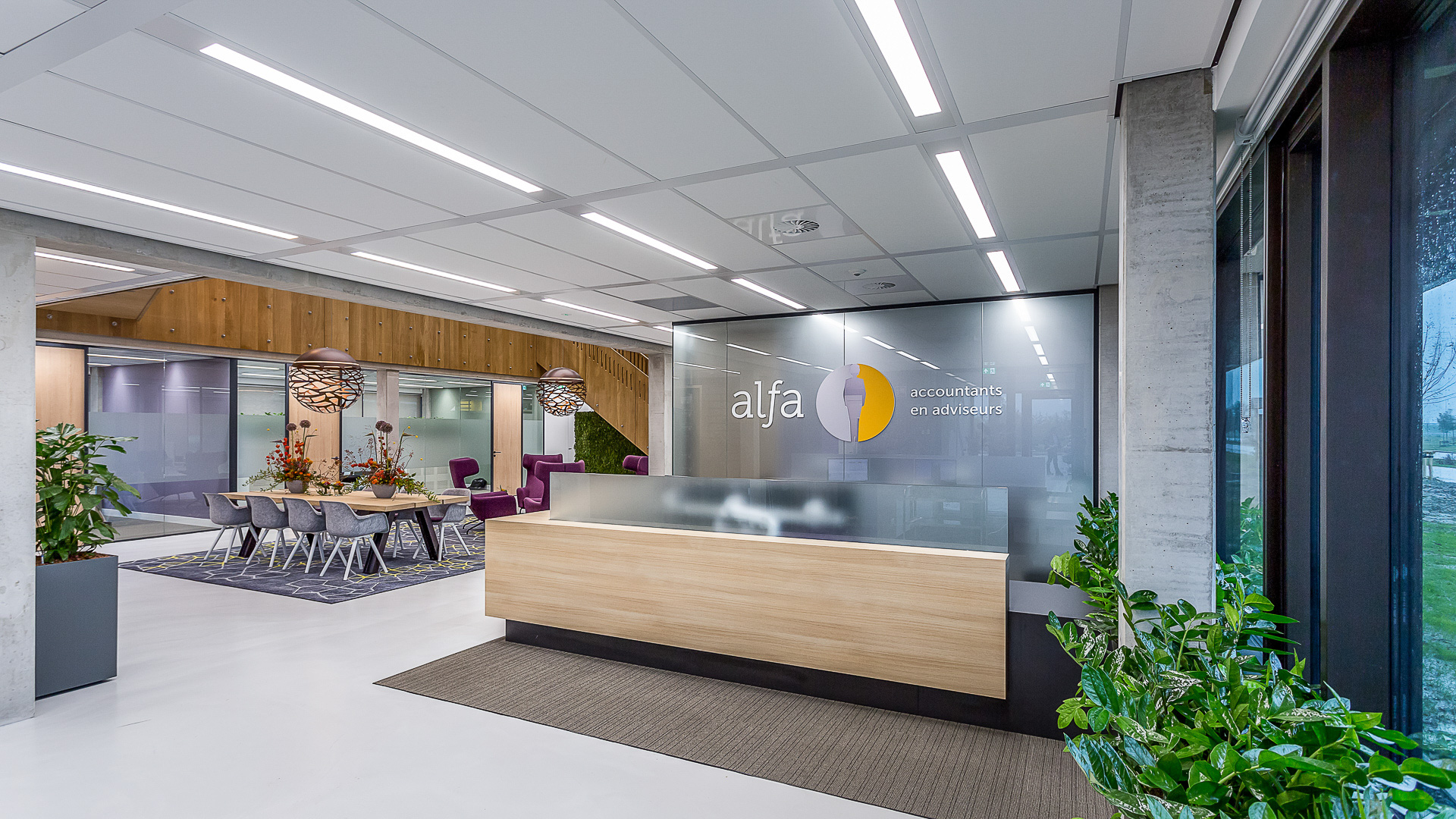 4016 - Alfa Accountants (2)